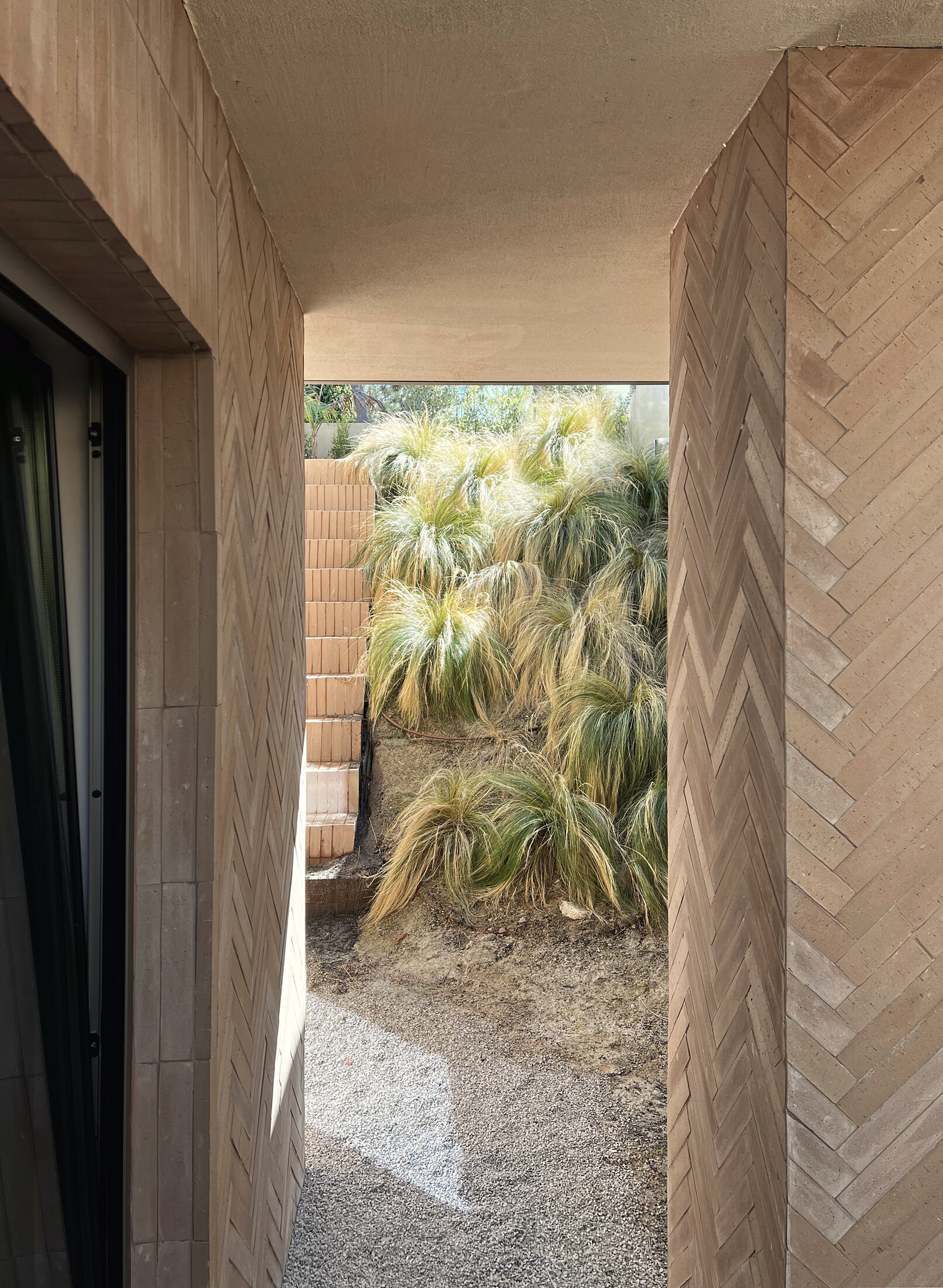 photograph — the covered path, grasses beyond
