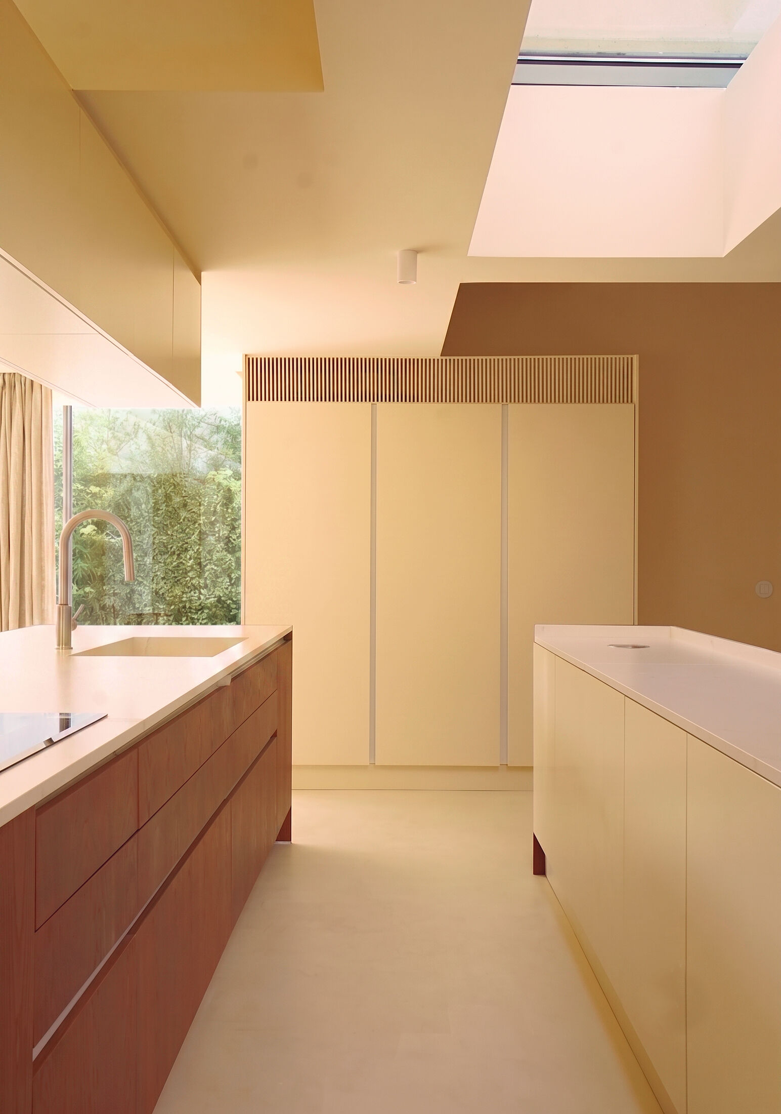 photograph — oak under the skylight