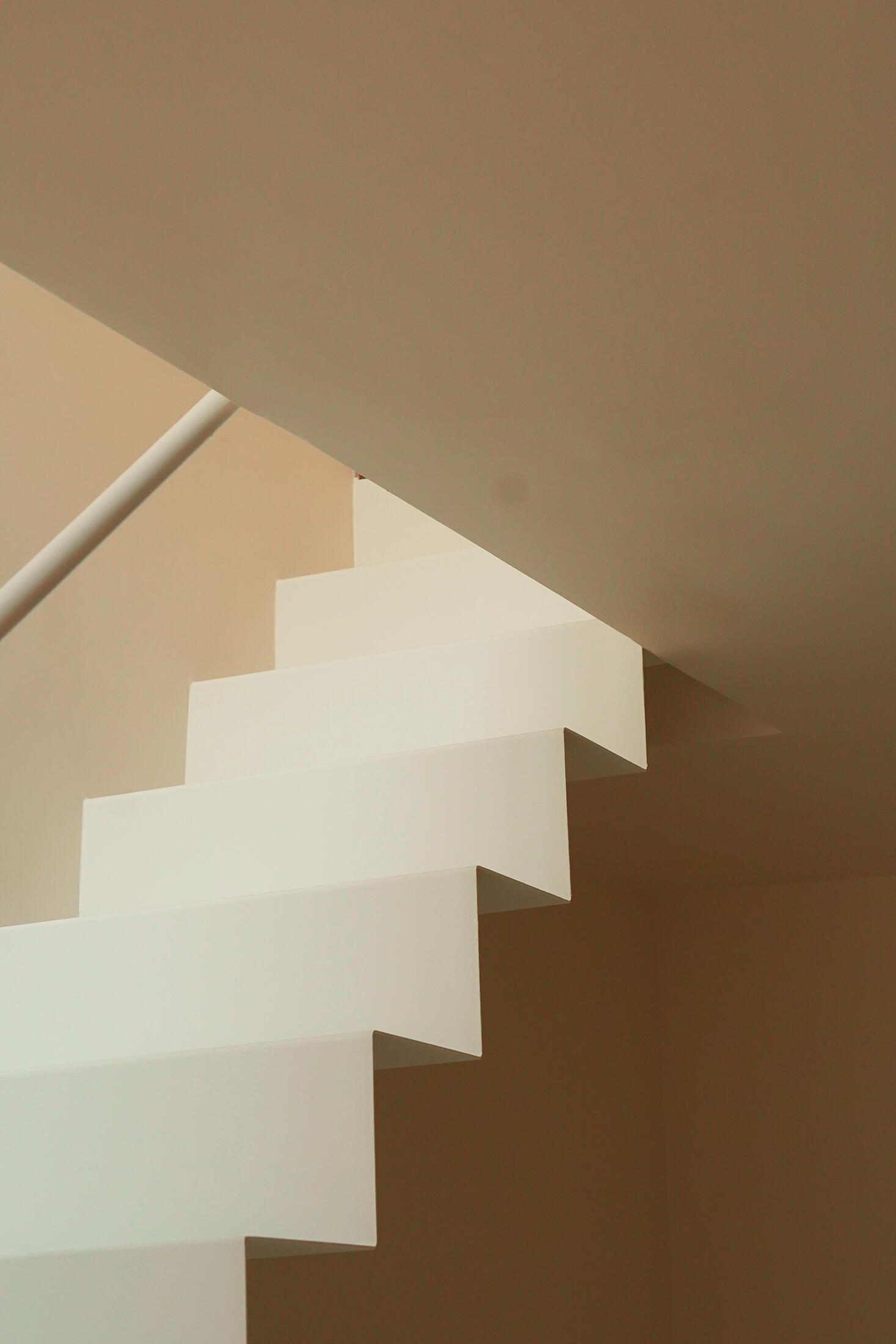 photograph — the zigzag