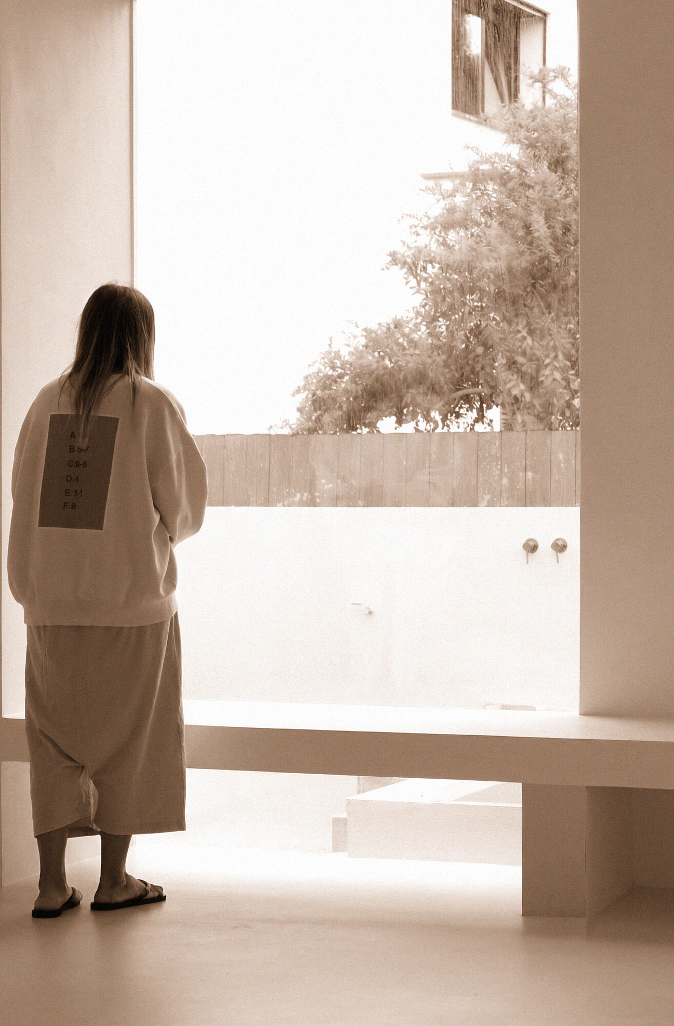 photograph — morning at the tall window