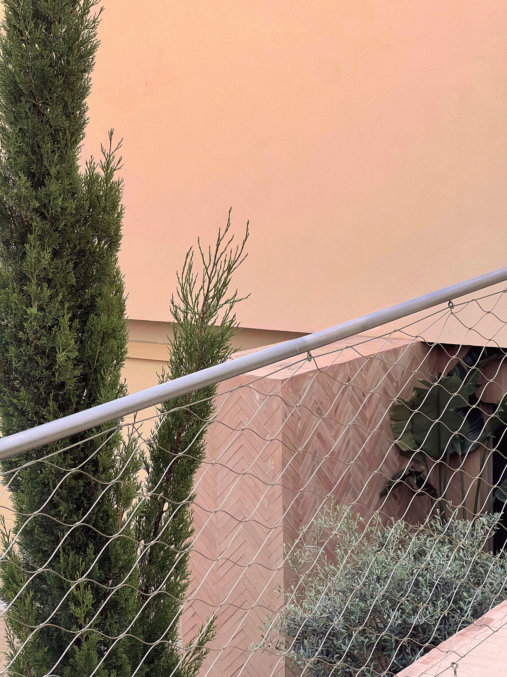 photograph — render, cypresses, the woven fence