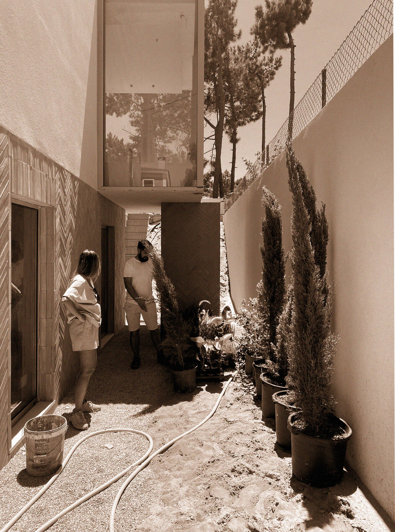 site photograph — planting day, summer