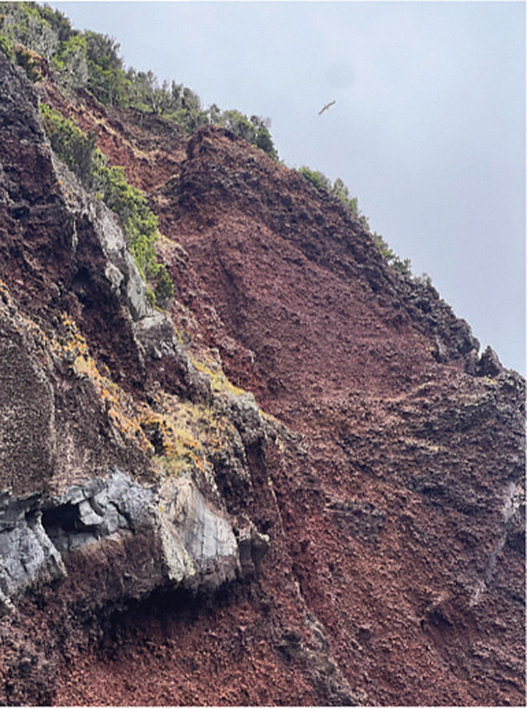 photograph — red soils weathered by oxidation