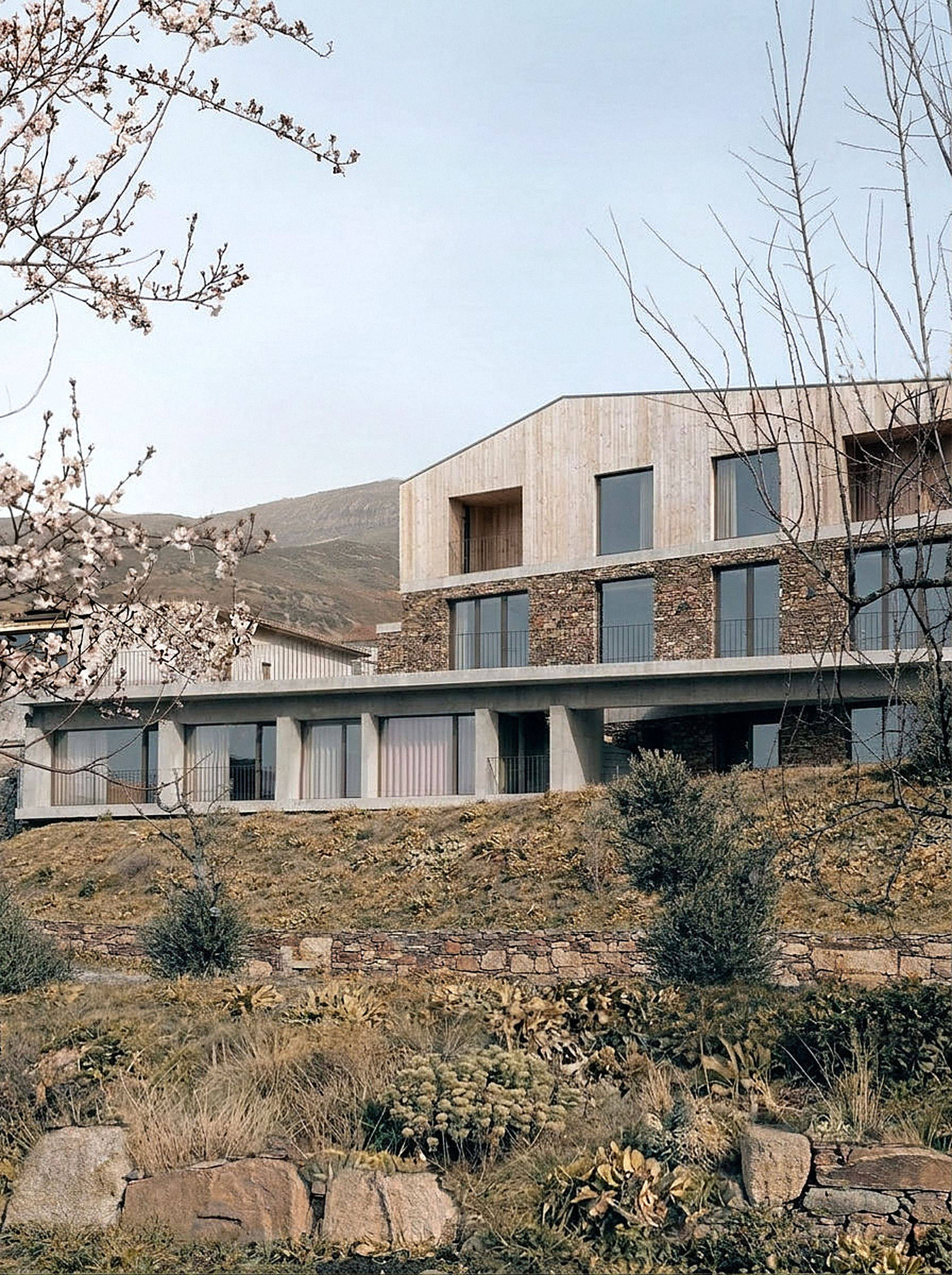 photograph — almond blossom, toward the hotel